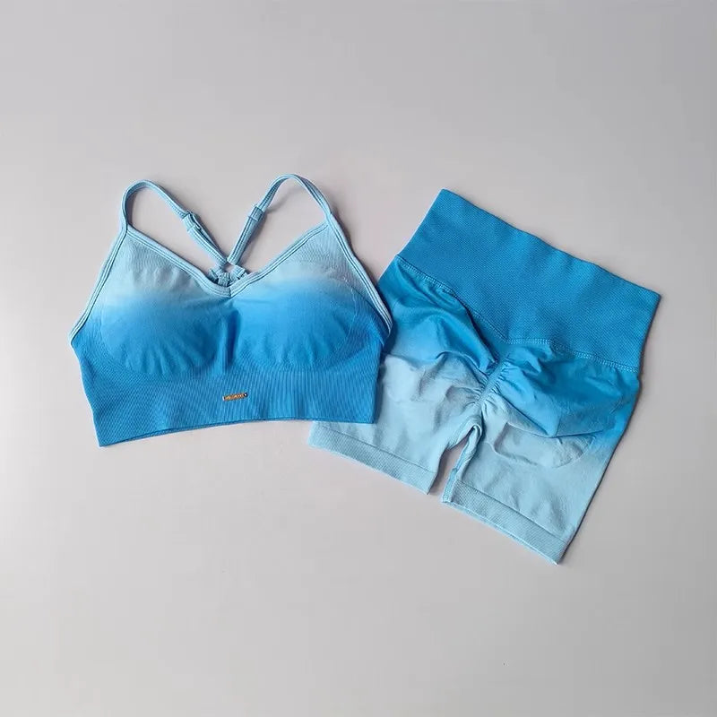 Two Piece Athletic Wear Set for Women