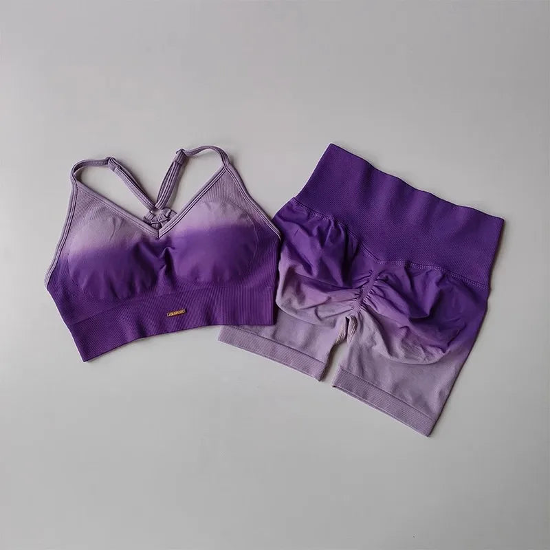Two Piece Athletic Wear Set for Women