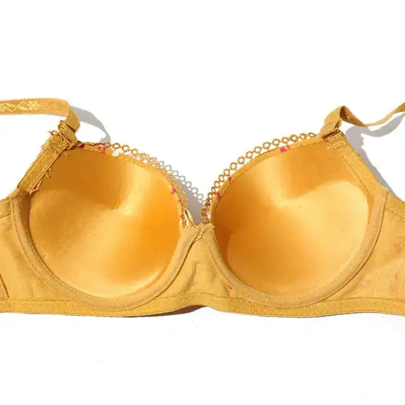 Beauwear Floral Bras for Women Push Up Bra Padded Bra Lace Underwear with wire Embroidered Lingerie 75B-90B